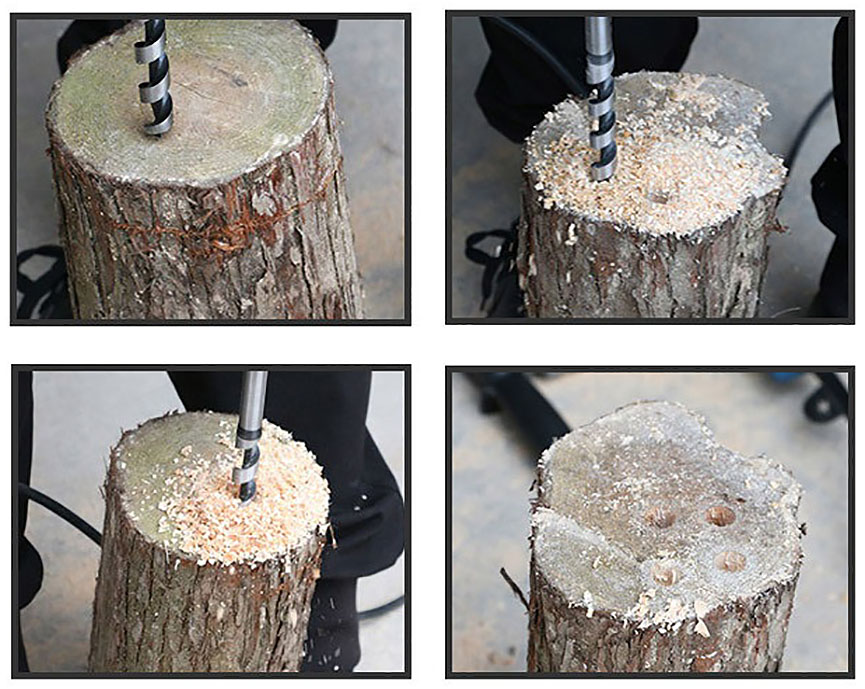Hex Shank Auger Drill Bit for Wood Application